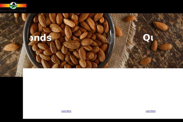 Pinpoint theme site design template sample