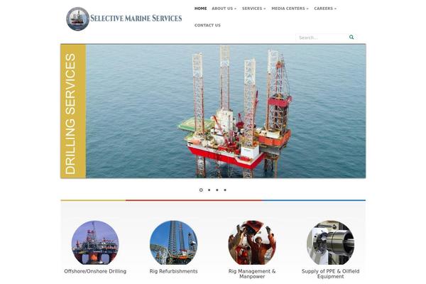 Site using Easy Portfolio plugin