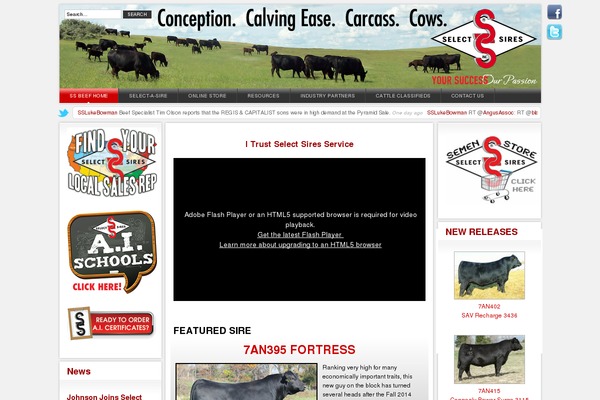 Fildisi-child theme site design template sample