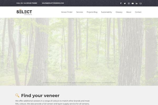 Bridge Child theme site design template sample
