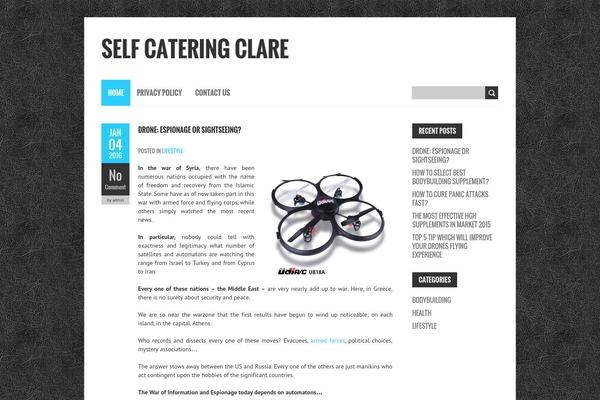 BoldR Lite theme site design template sample