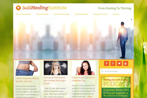 Lifestyle Pro theme site design template sample