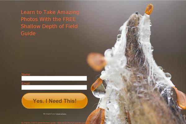 Free-divi-child-theme-by-pee-aye-creative theme site design template sample