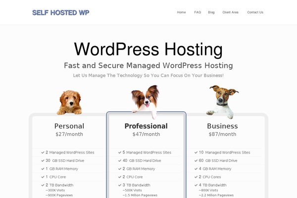 iBusiness theme site design template sample