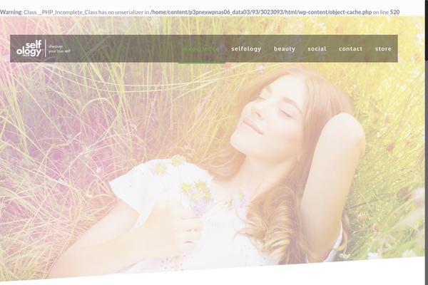 Tenweb-website-builder-theme theme site design template sample
