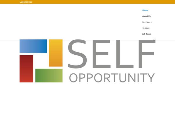 Site using Divi-pixel plugin