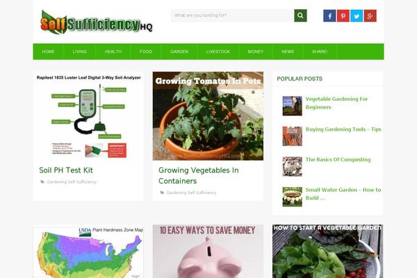 Site using Commentluv-premium plugin