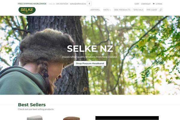 Diviecommerce theme site design template sample