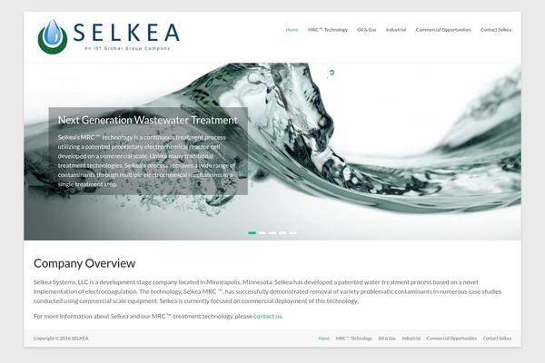 Spacious Pro theme site design template sample