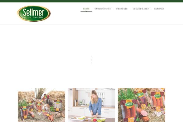 NUVO theme site design template sample