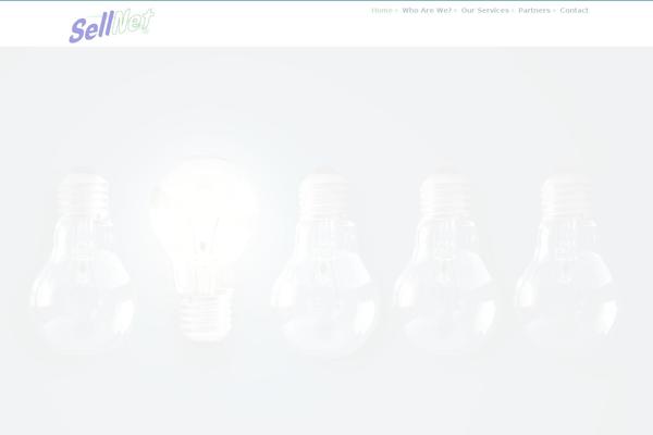 sellnetny.com site used Sellnet