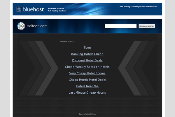 seltoon.com site used Reflection