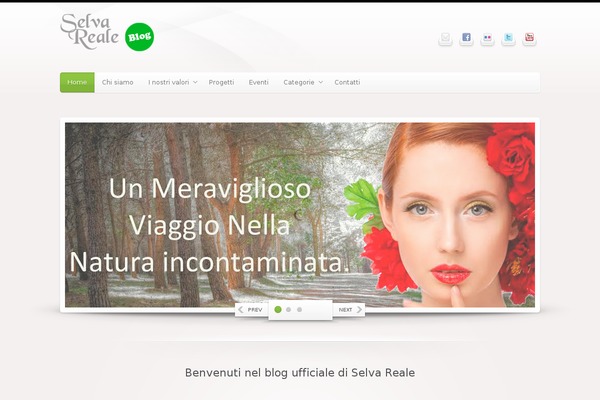 selvarealeblog.it site used Maxx WP