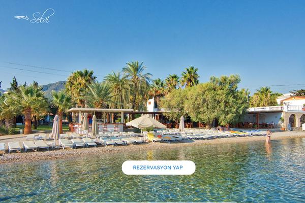 Alloggio theme site design template sample