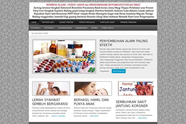 Corporate theme site design template sample