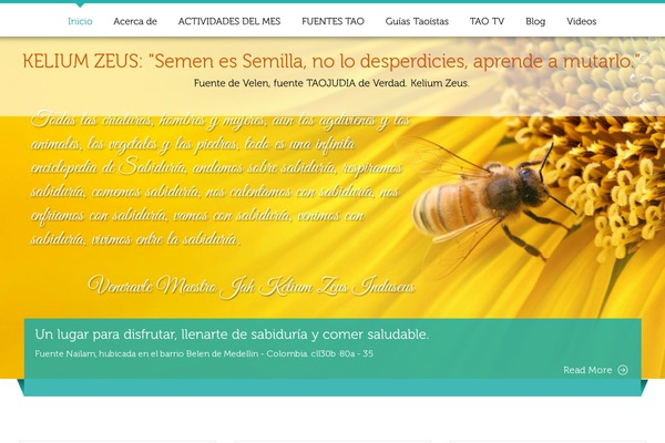 Site using Google Custom Search plugin