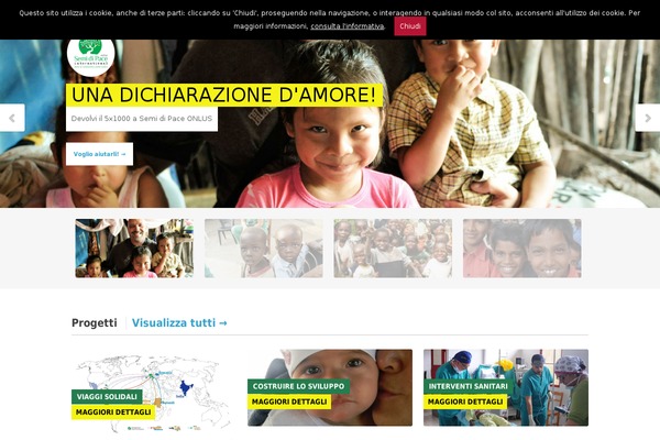 Site using WORDPRESS VIDEO GALLERY plugin