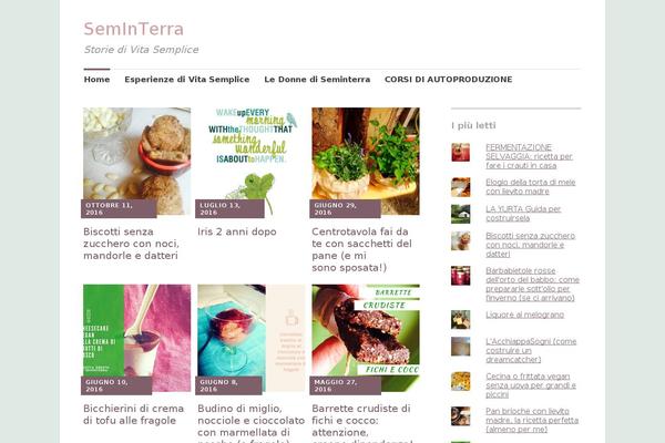 seminterra.com site used Hiero-child