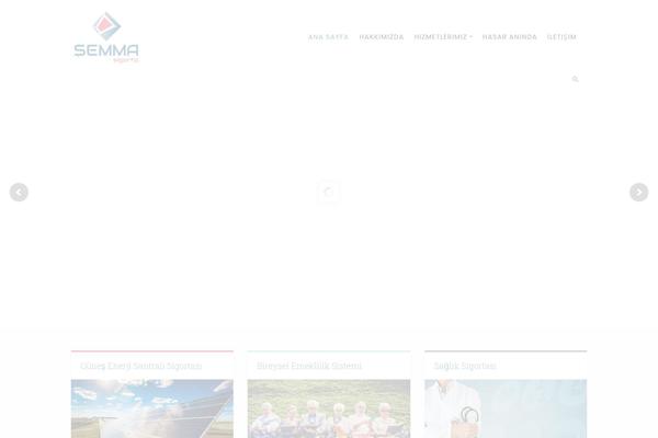 Success theme site design template sample