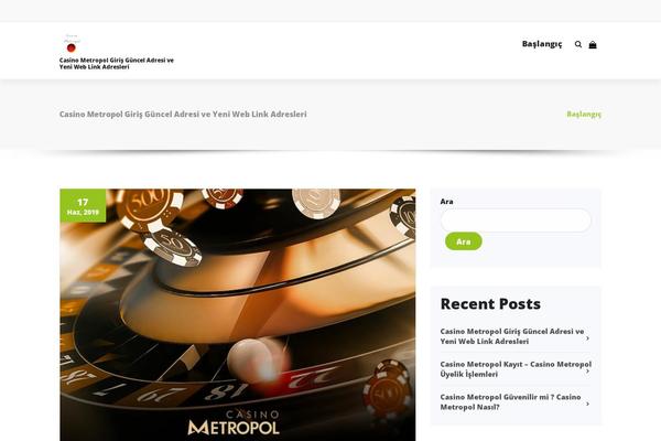 Benzer theme site design template sample