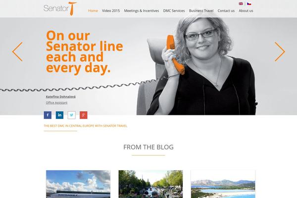 Senator theme site design template sample