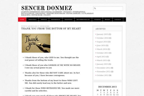 Diginews theme site design template sample