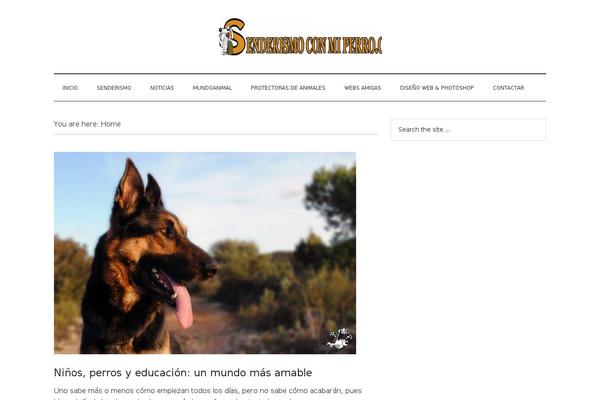 Magazine Pro theme site design template sample