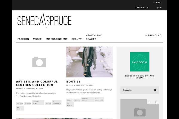 senecaandspruce.com site used 15Zine
