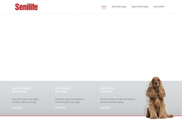 Durus theme site design template sample
