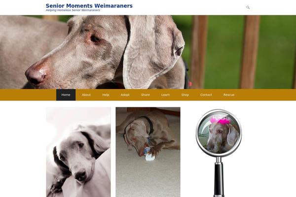 Adventurous theme site design template sample
