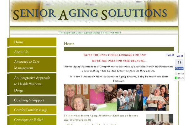 Site using Google Custom Search plugin