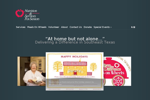 Modest theme site design template sample