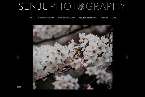 Photocrati theme site design template sample