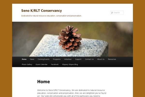 Twenty Eleven theme site design template sample