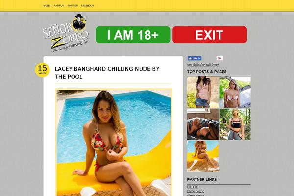 senorzorro.com site used Bueno