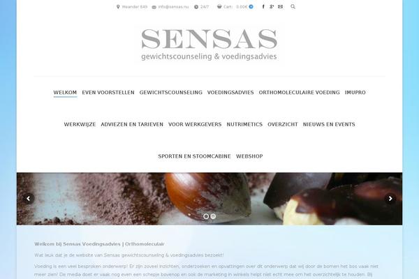 Composer theme site design template sample