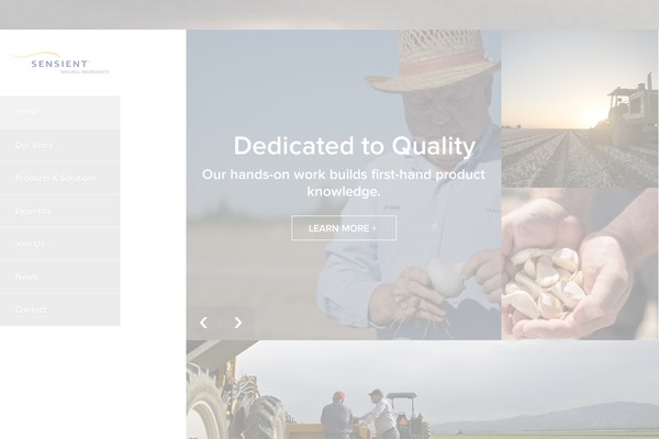 Flex theme site design template sample