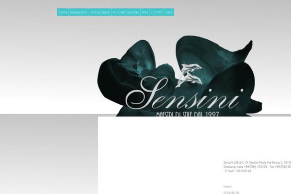 MN Flow theme site design template sample