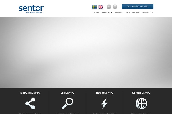 Pax theme site design template sample