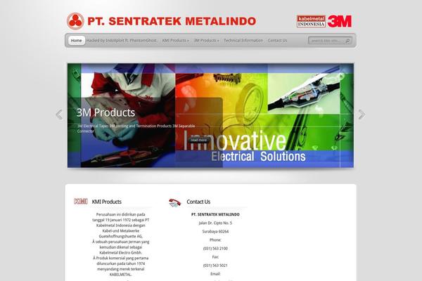 TheProfessional theme site design template sample