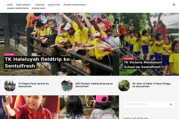 Edin theme site design template sample