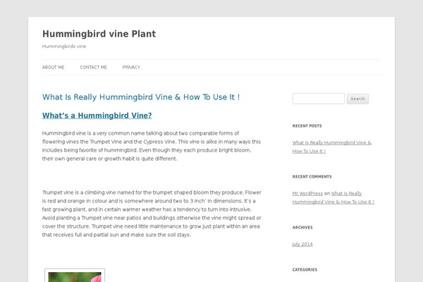 rtPanel theme site design template sample