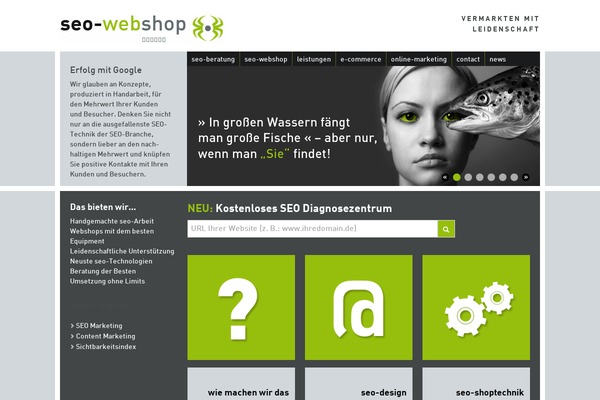 Eighty Twenty theme site design template sample