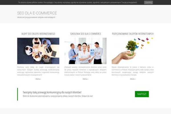 seoecommerce.pl site used Pozycjonowanie