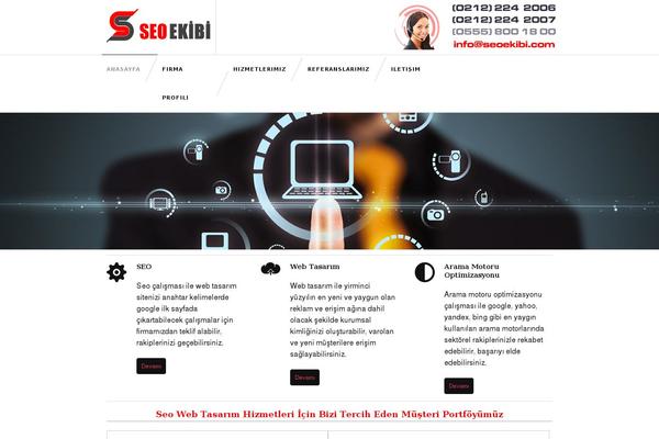 Site using TW Recent Posts Widget plugin
