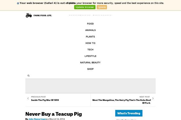 seoette.com site used Modern-farmer