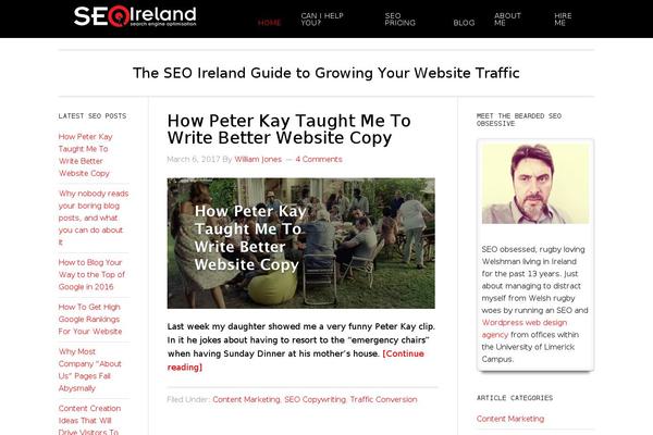SEOIreland theme websites examples