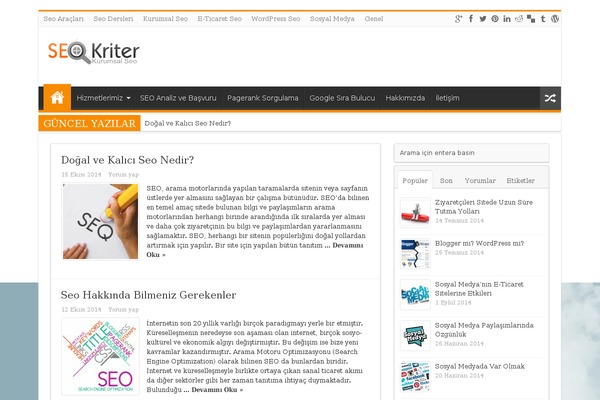 Sahifa theme site design template sample