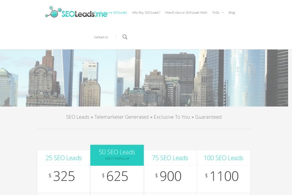 Ewebot theme site design template sample