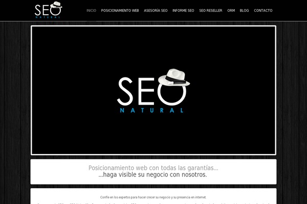 voobis theme websites examples